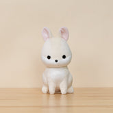 Bunni the Dwarf White Rabbit