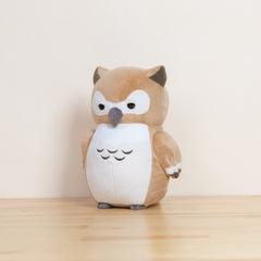 Owli the Barn Owl