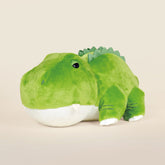 Alli the Alligator