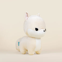 Arcti the Arctic Fox