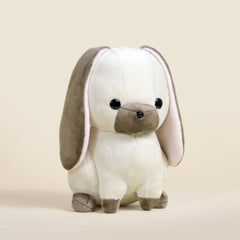 Lop Bunni the Lop Eared Rabbit