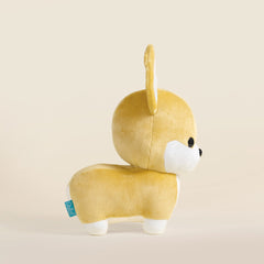 Corgi the Dog