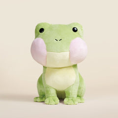 Froggi the Frog