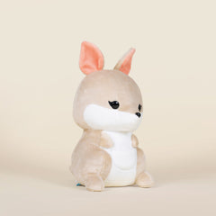 Kangi The Kangaroo