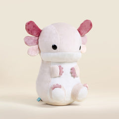 Lotti the Axolotl