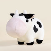 Mooi the Cow