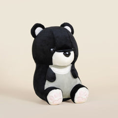 Moonbi the Moon Bear