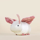 Mothi the Moth