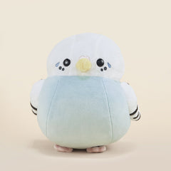 Paraki the Parakeet