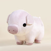 Piggi the Pig