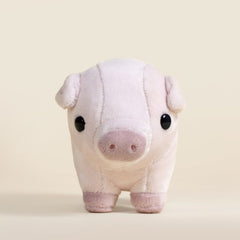 Mini Piggi the Pig