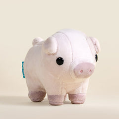 Mini Piggi the Pig