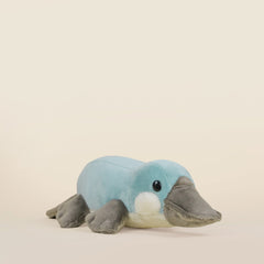 Mini Plati the Platypus
