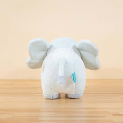 Phanti the Elephant
