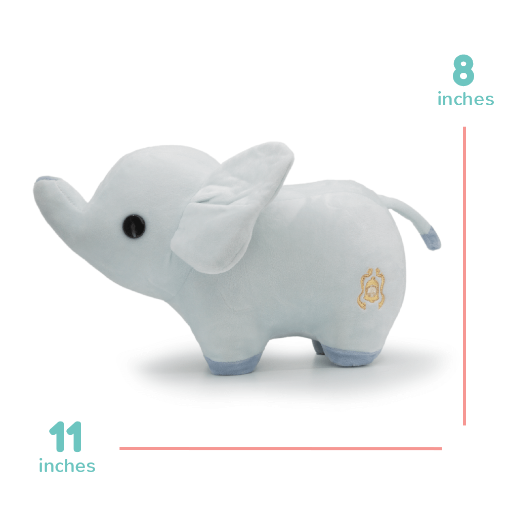 Phanti the Elephant