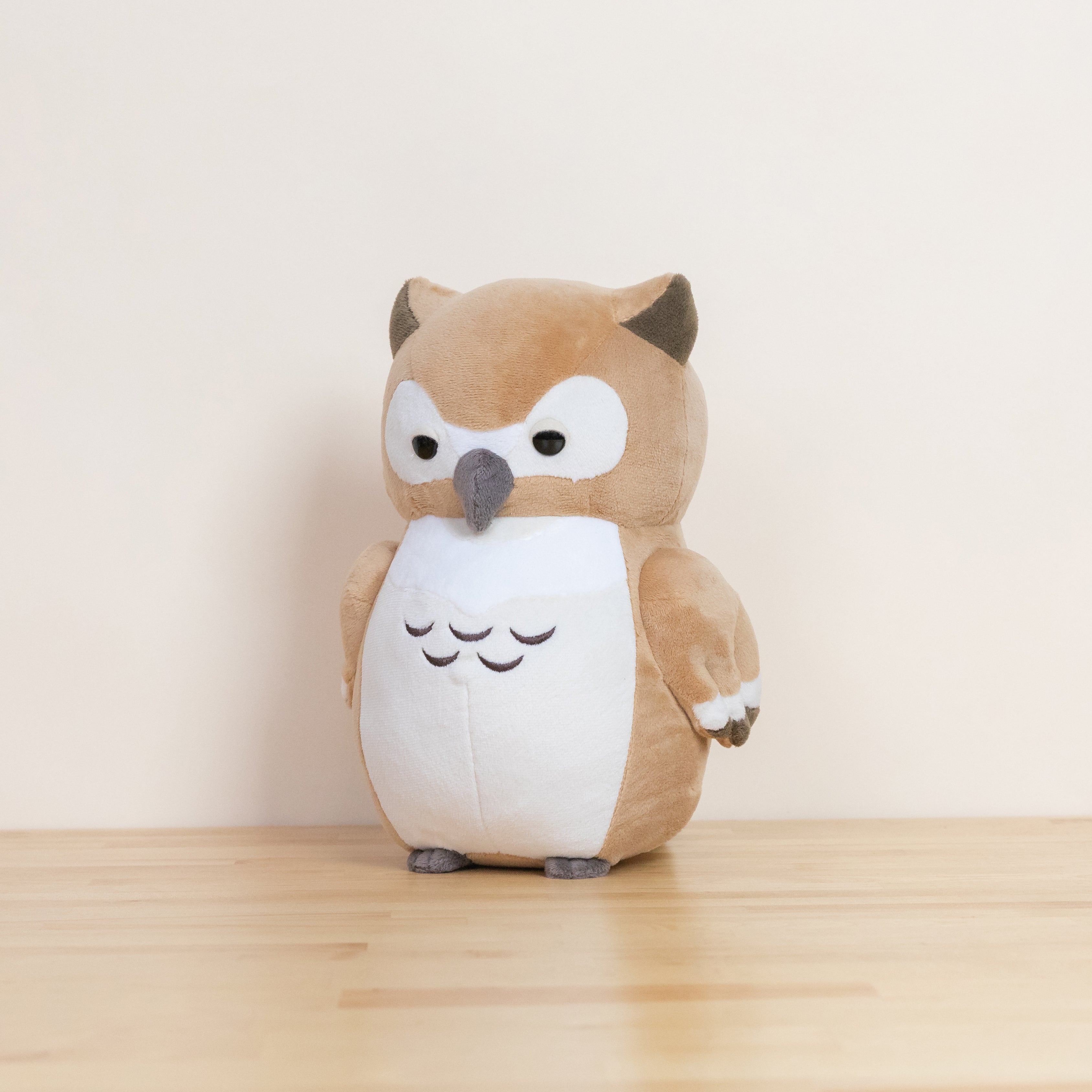 Owli the Barn Owl