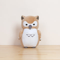 Owli the Barn Owl