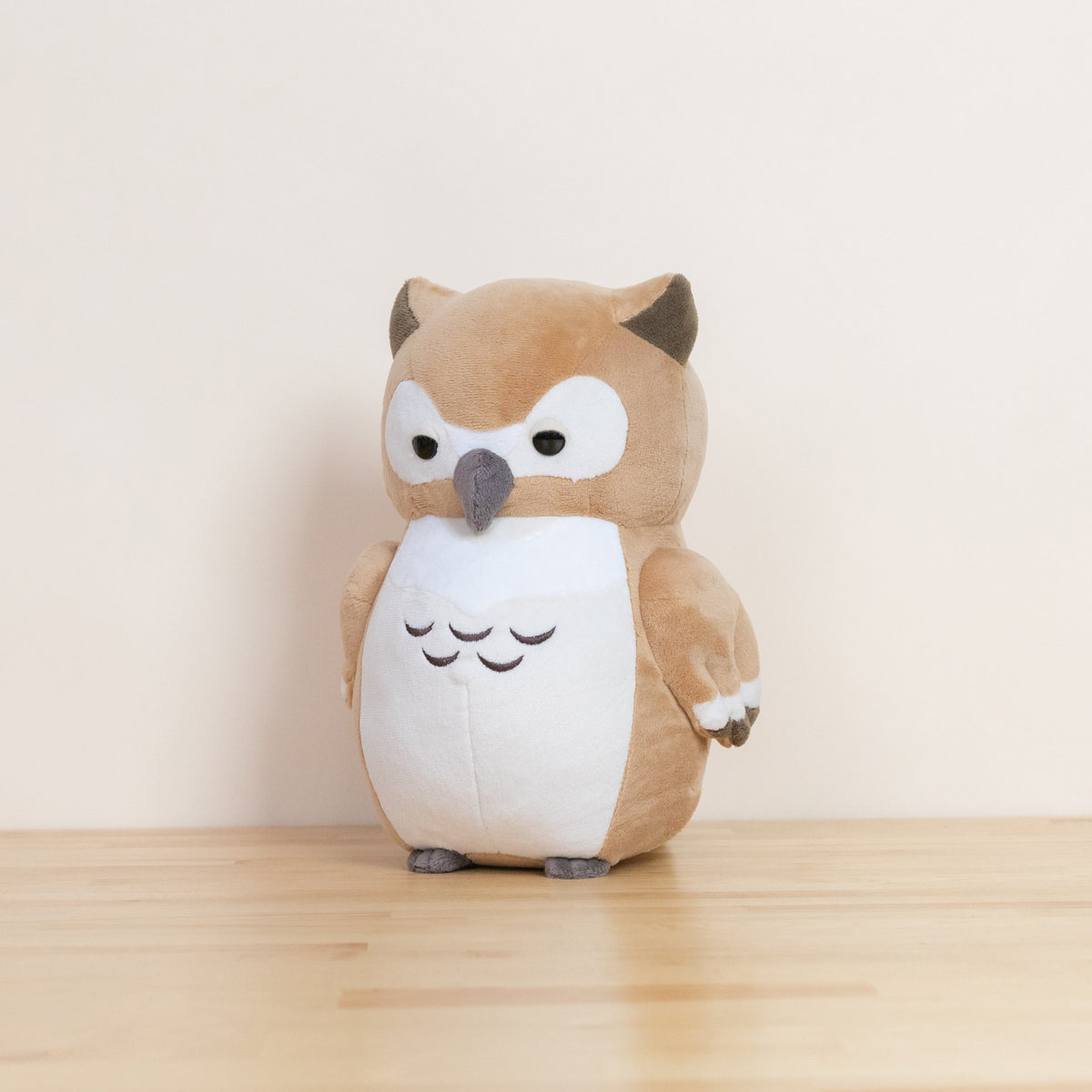 Owli the Barn Owl