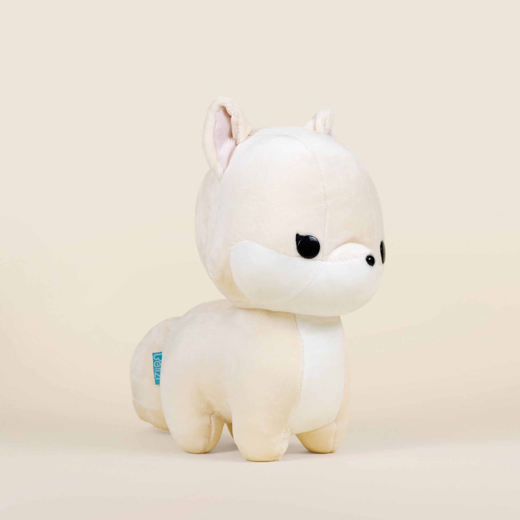 Arcti the Arctic Fox