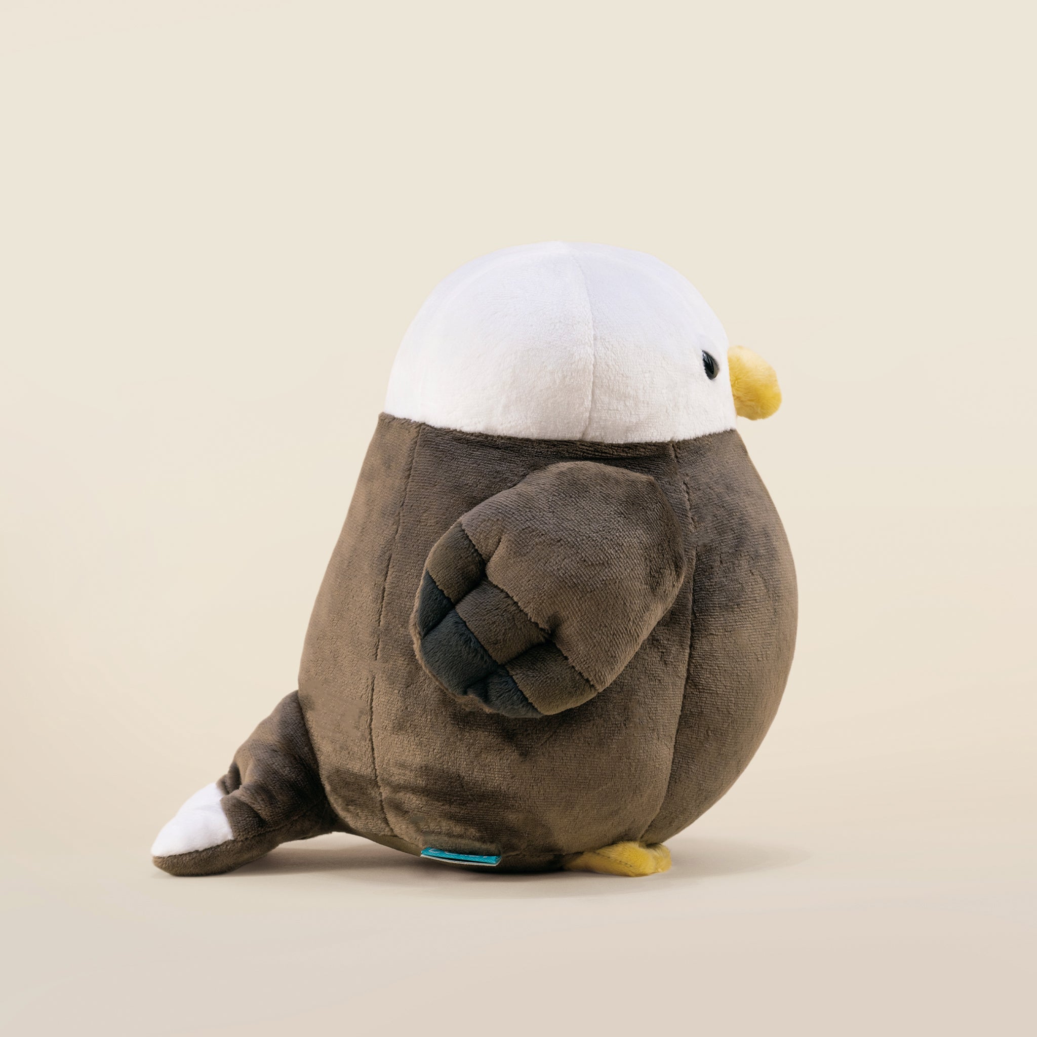Baldi the Bald Eagle