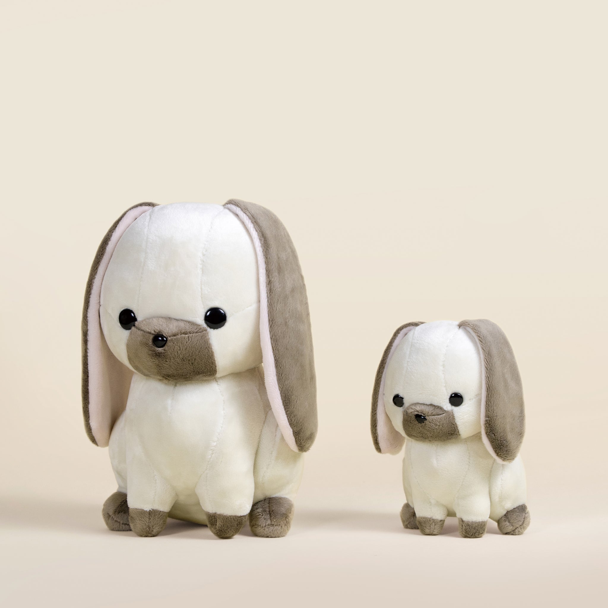 Lop Bunni the Lop Eared Rabbit