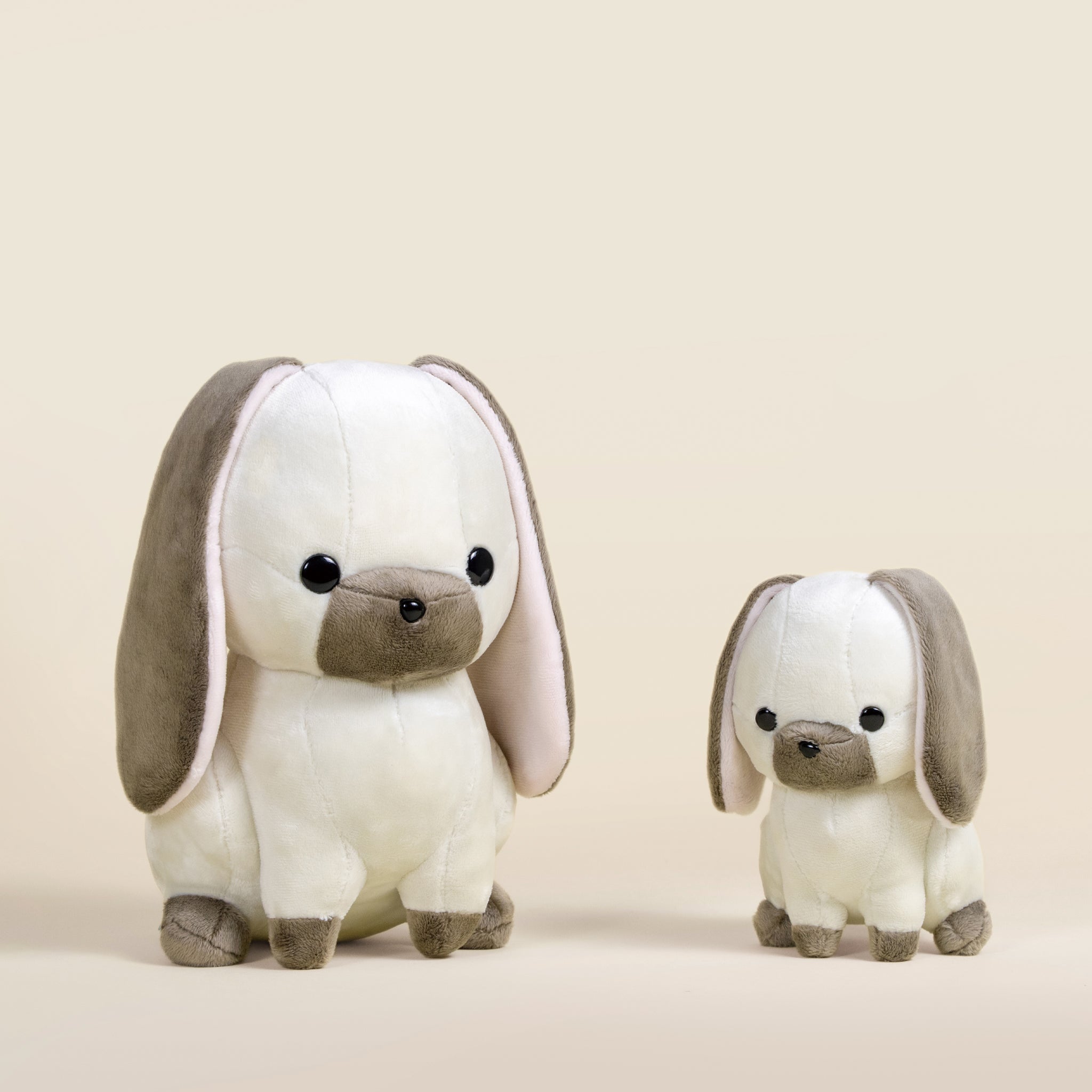 Lop Bunni the Lop Eared Rabbit