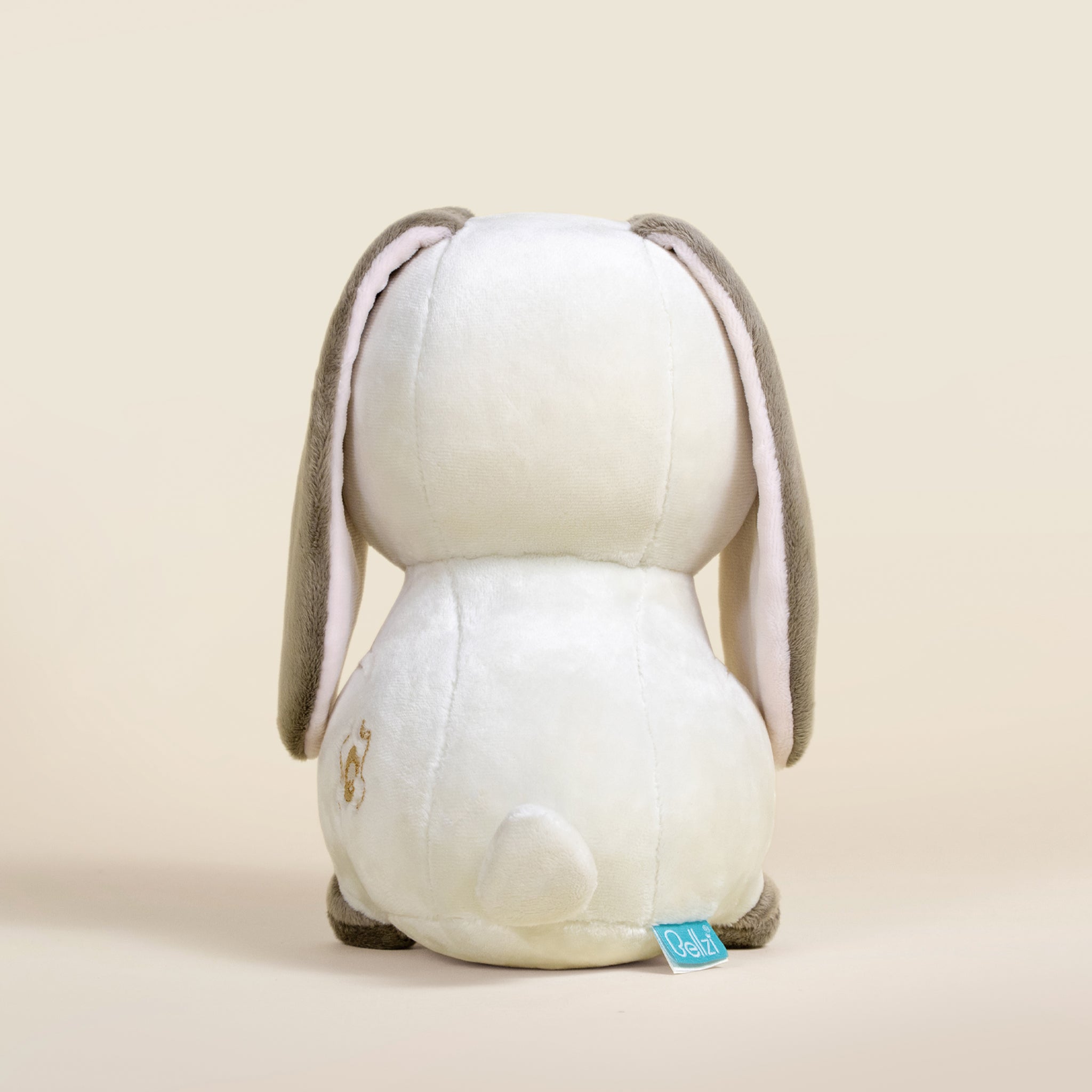 Lop Bunni the Lop Eared Rabbit
