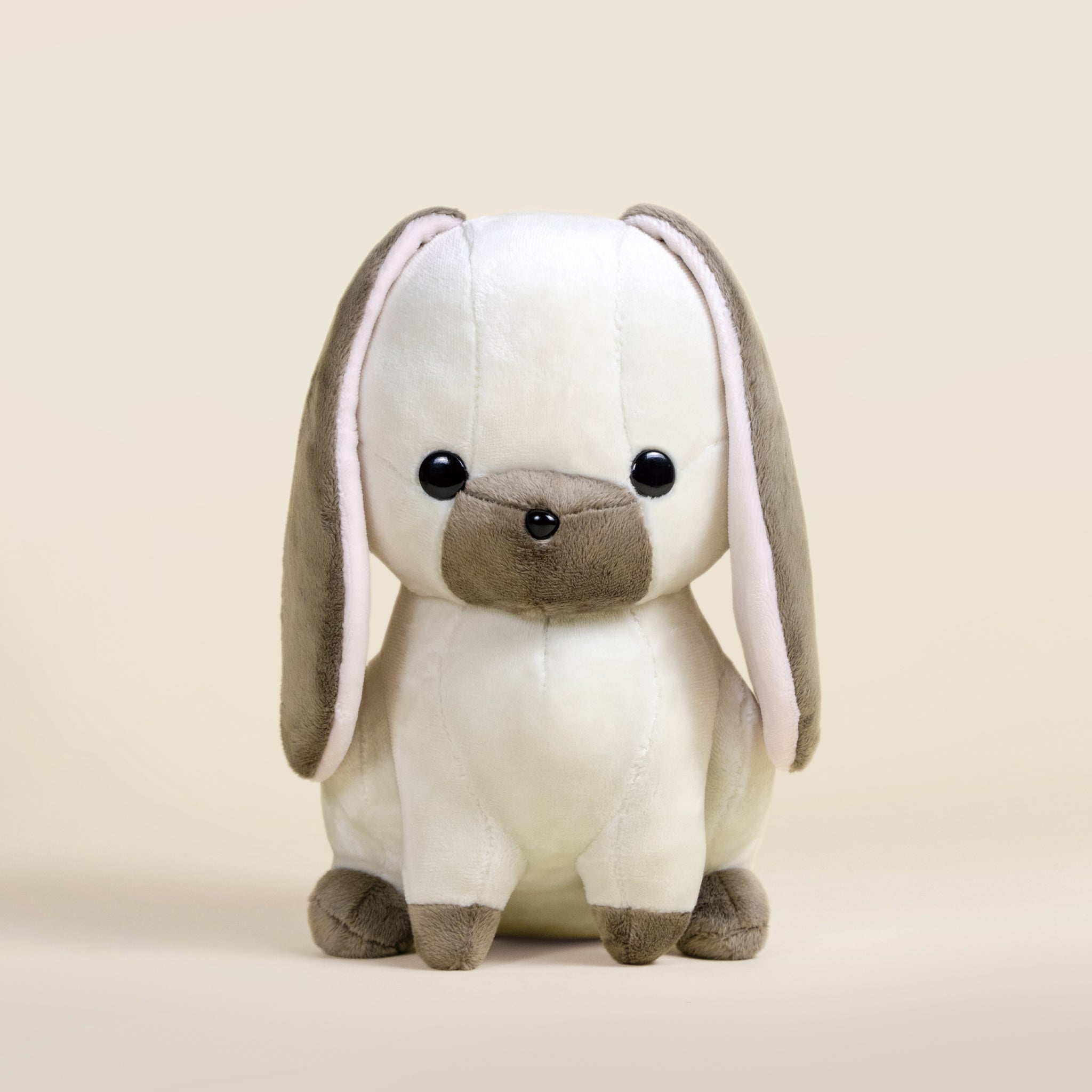 Lop Bunni the Lop Eared Rabbit