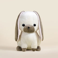 Lop Bunni the Lop Eared Rabbit