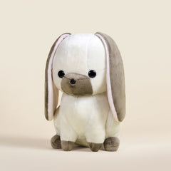 Lop Bunni the Lop Eared Rabbit