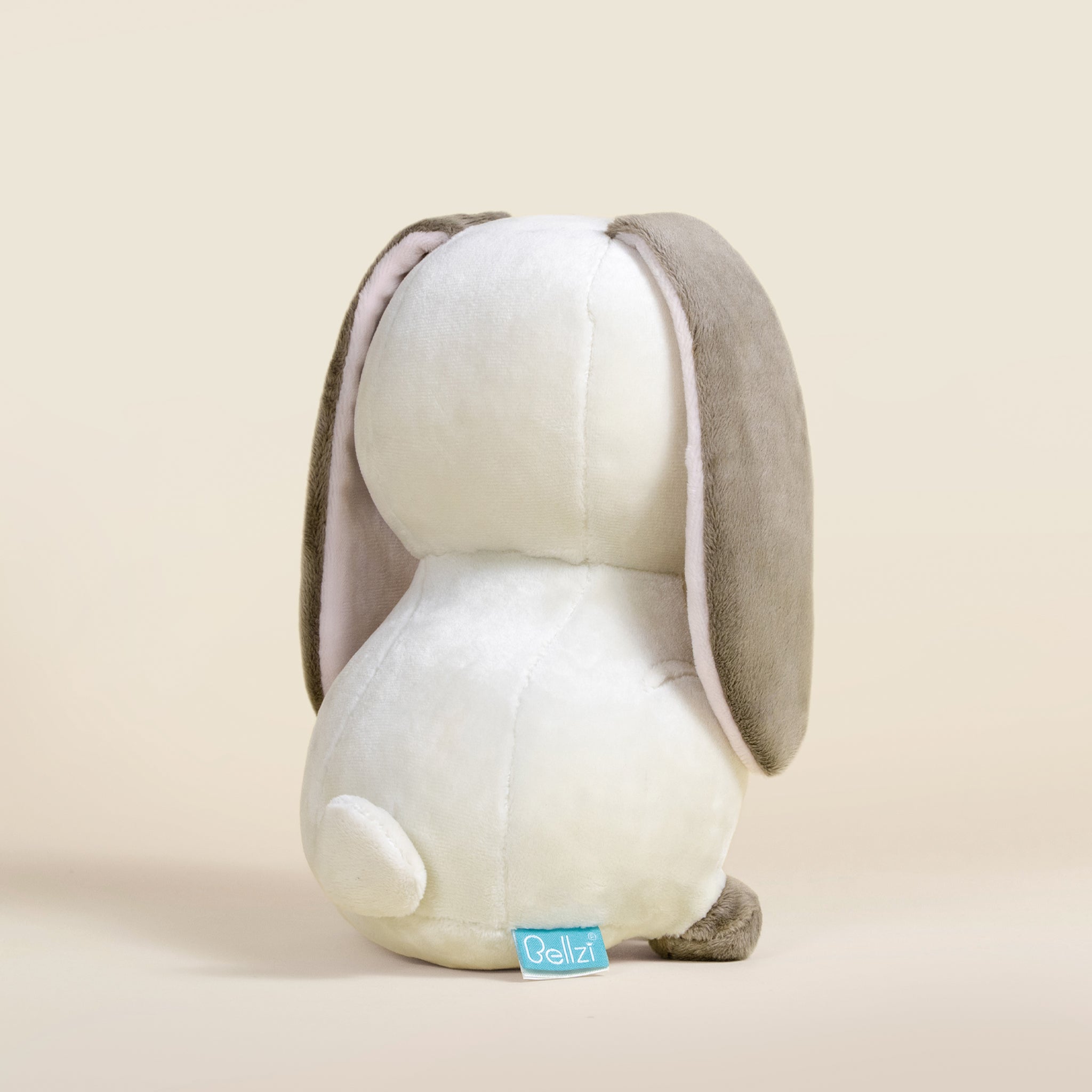 Lop Bunni the Lop Eared Rabbit