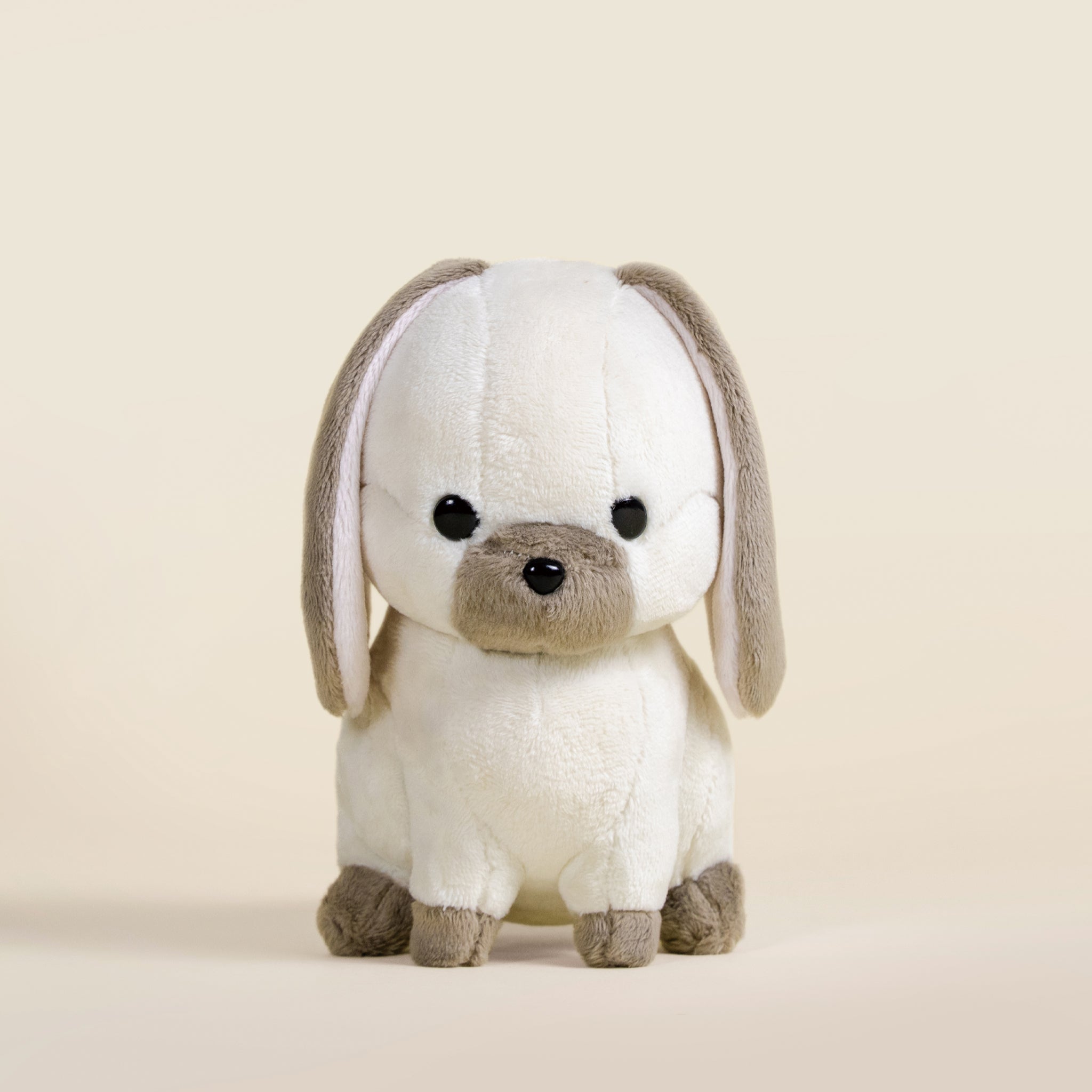 Mini Lop Bunni the Lop Rabbit