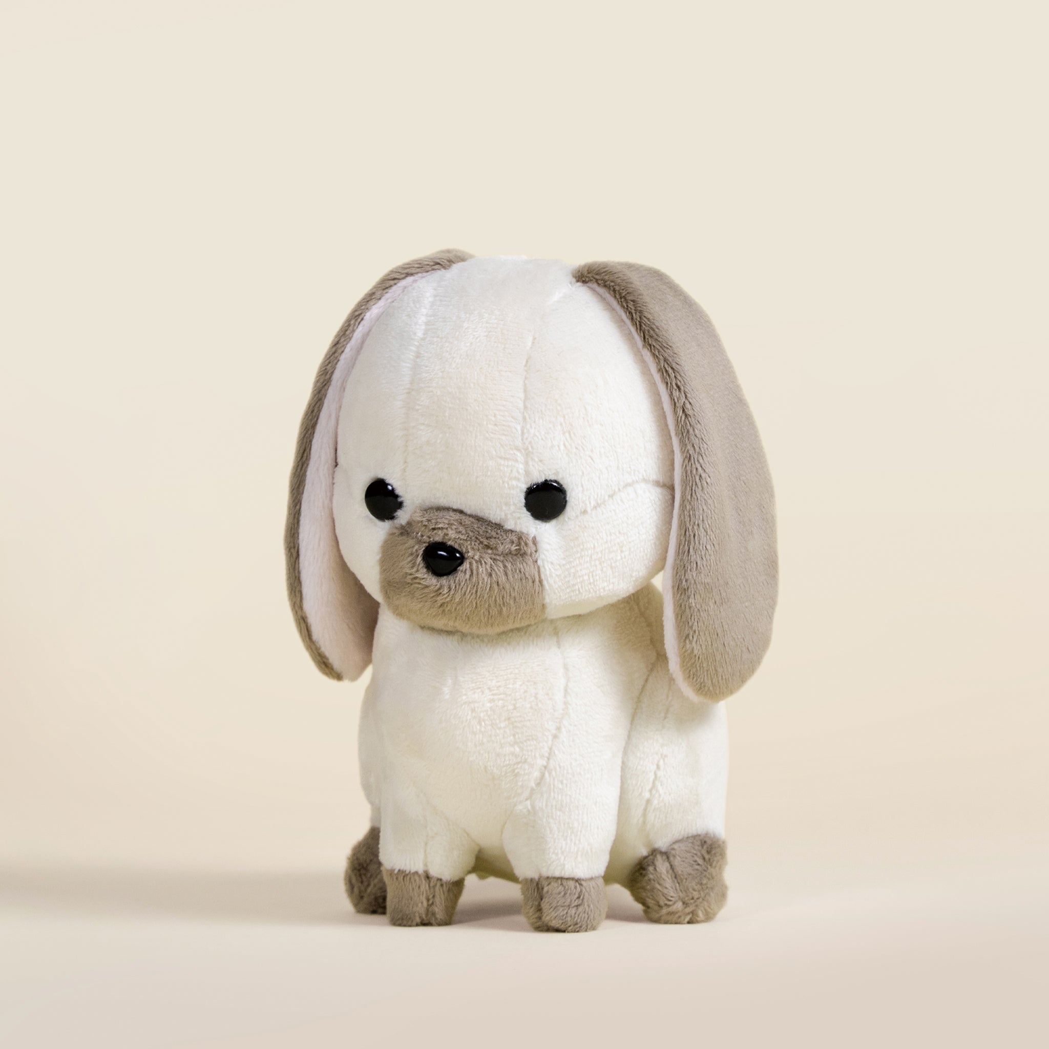 Mini Lop Bunni the Lop Rabbit