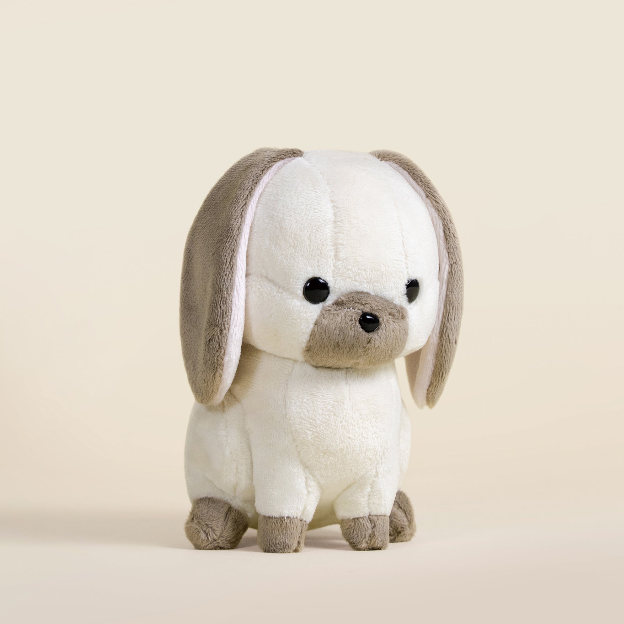 Mini Lop Bunni the Lop Rabbit