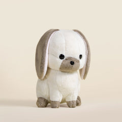 Mini Lop Bunni the Lop Rabbit