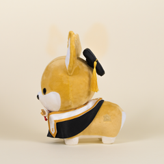 Graduation Corgi