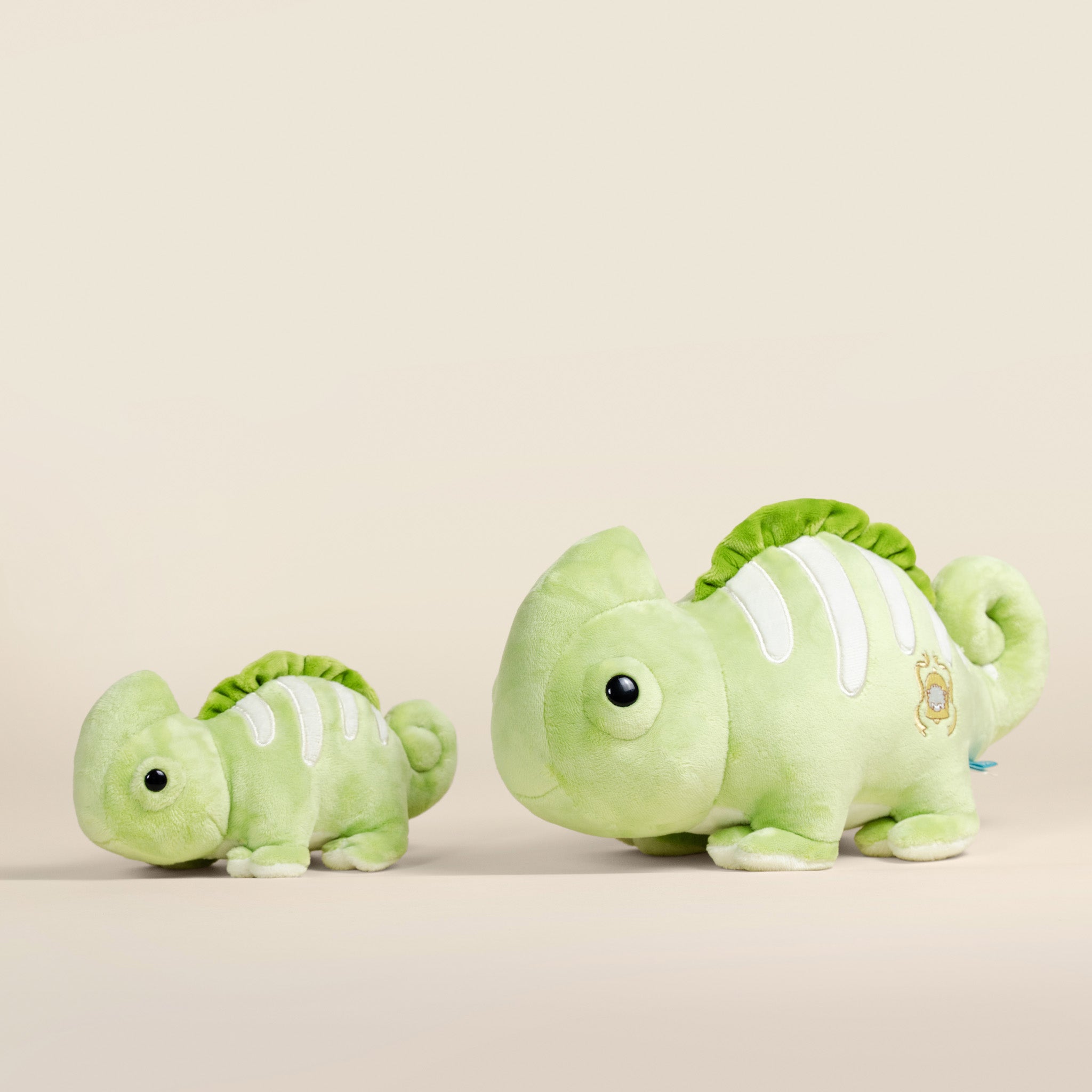 Chamili the Chameleon
