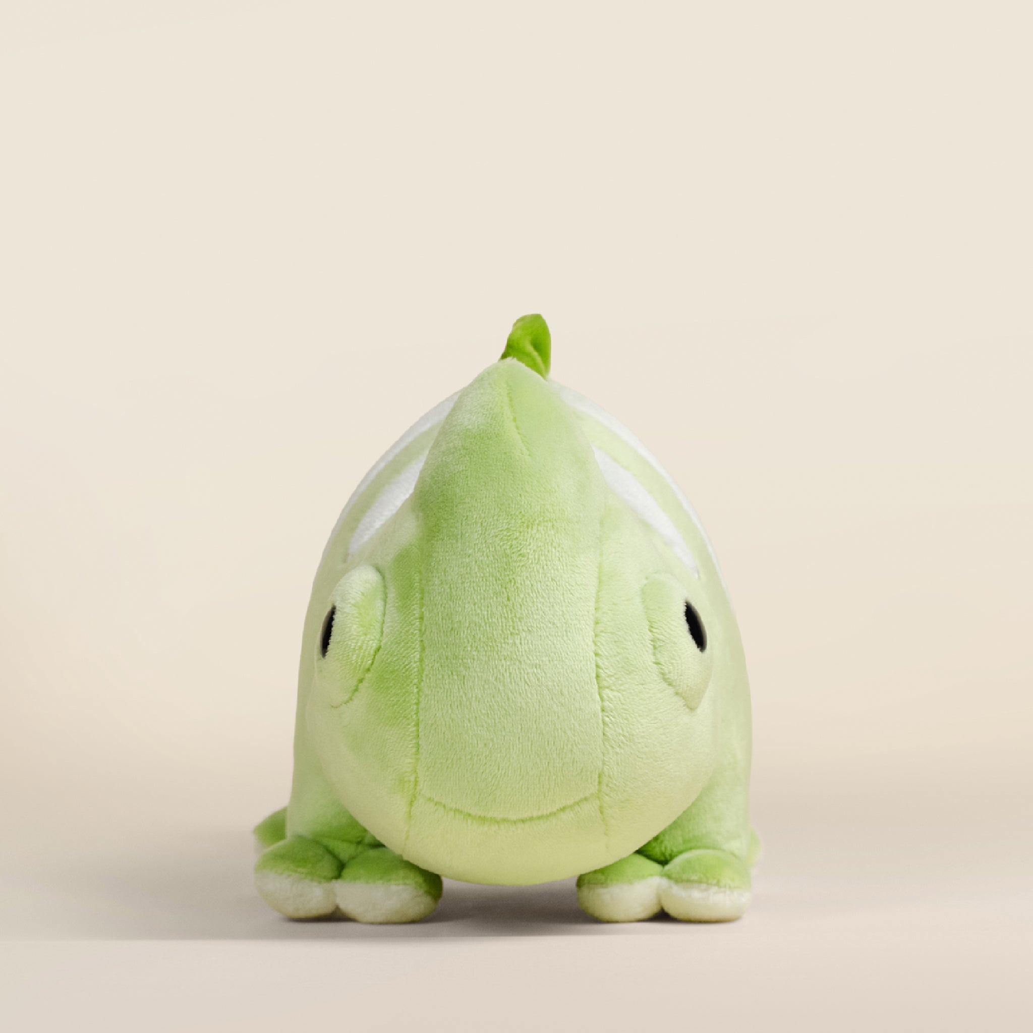 Chamili the Chameleon