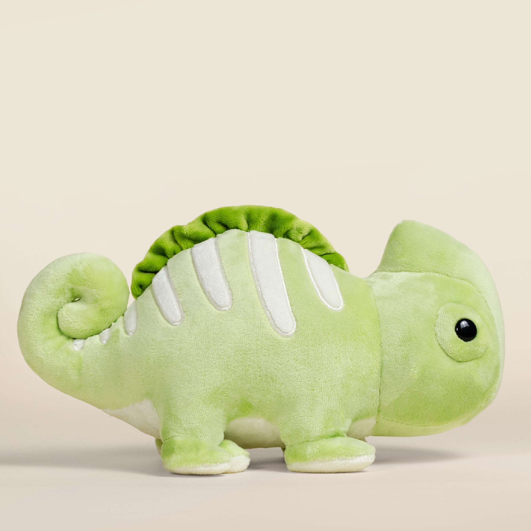 Chamili the Chameleon