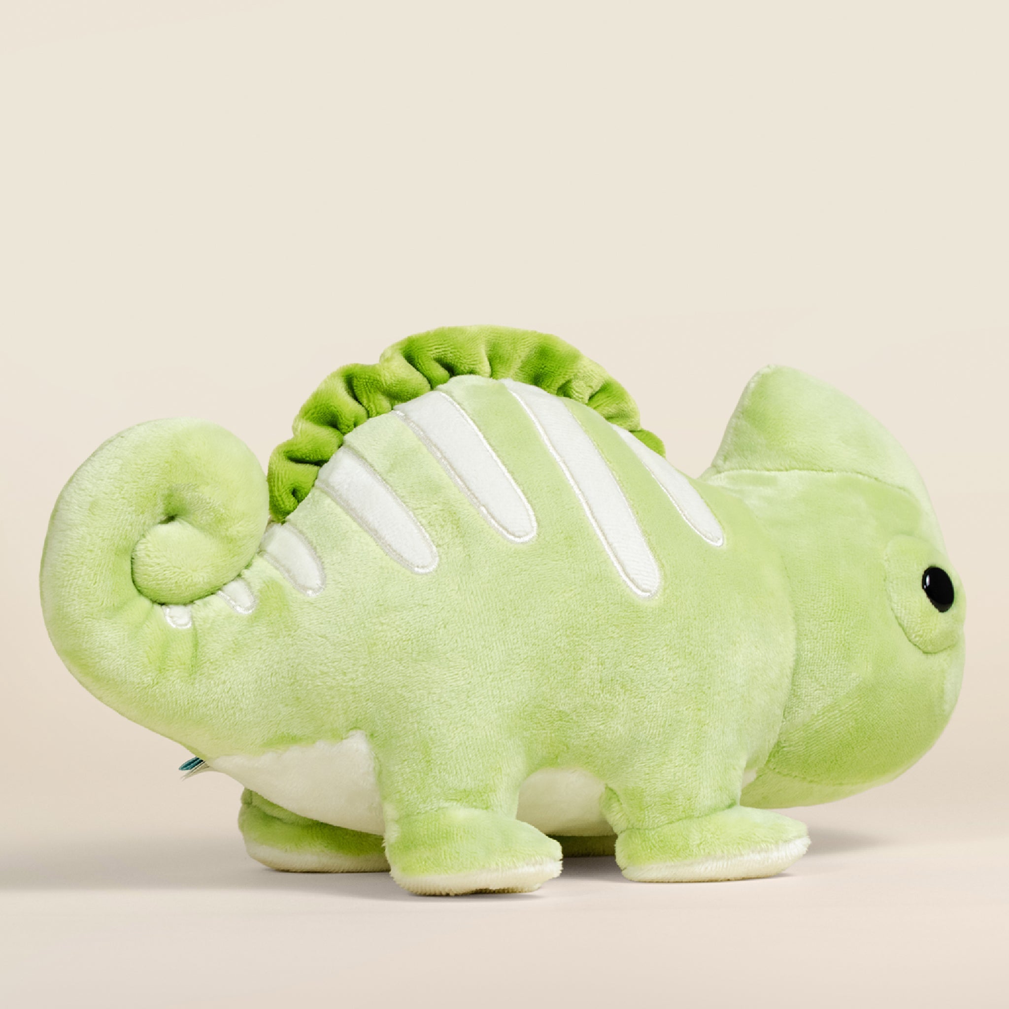 Chamili the Chameleon