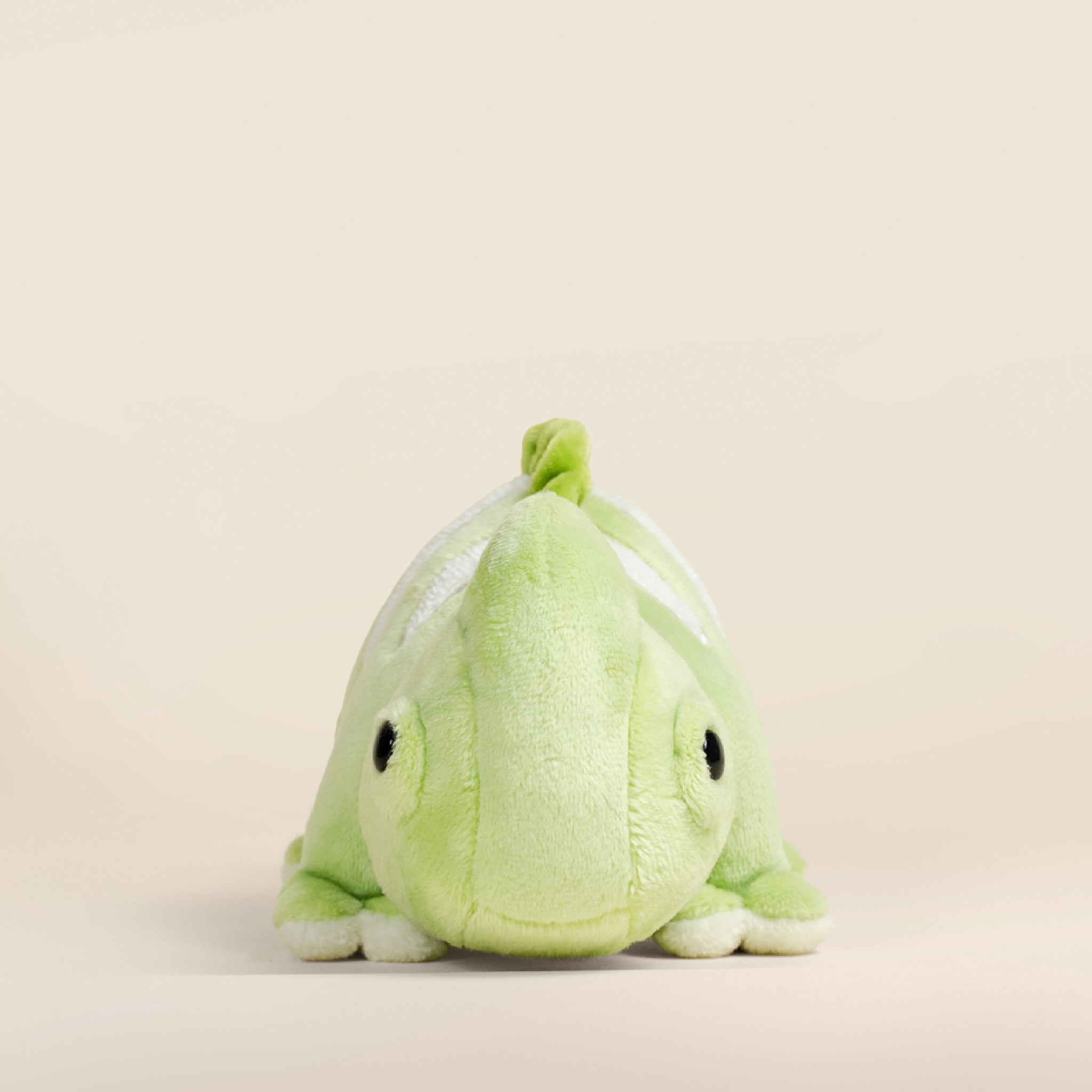 Mini Chamili the Chameleon