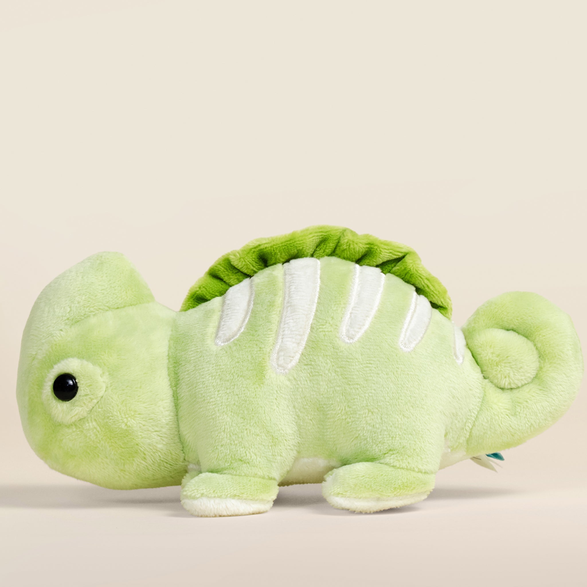 Mini Chamili the Chameleon
