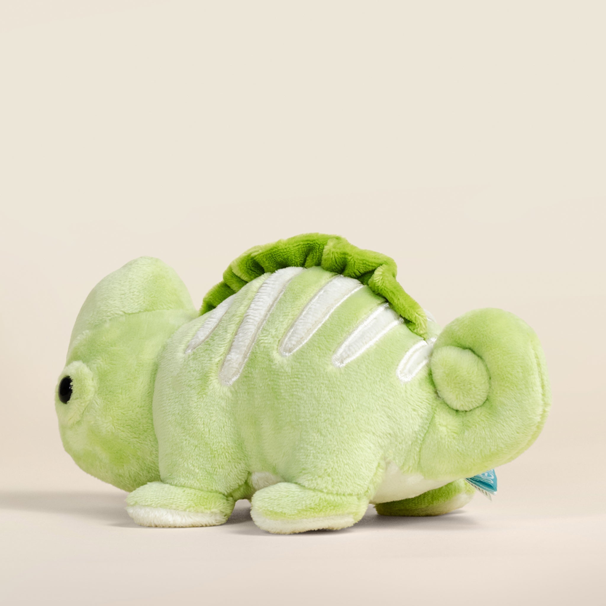Mini Chamili the Chameleon