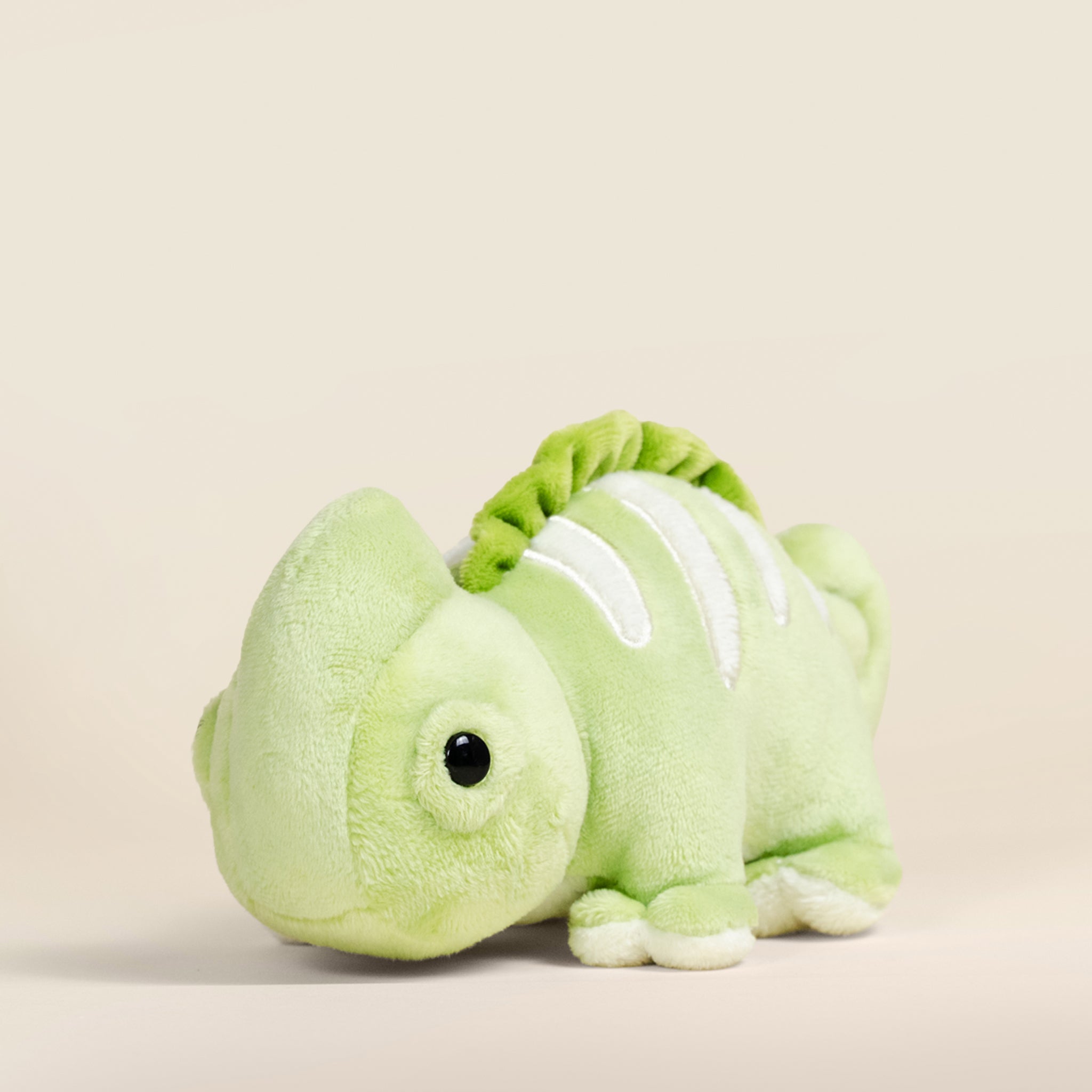 Mini Chamili the Chameleon