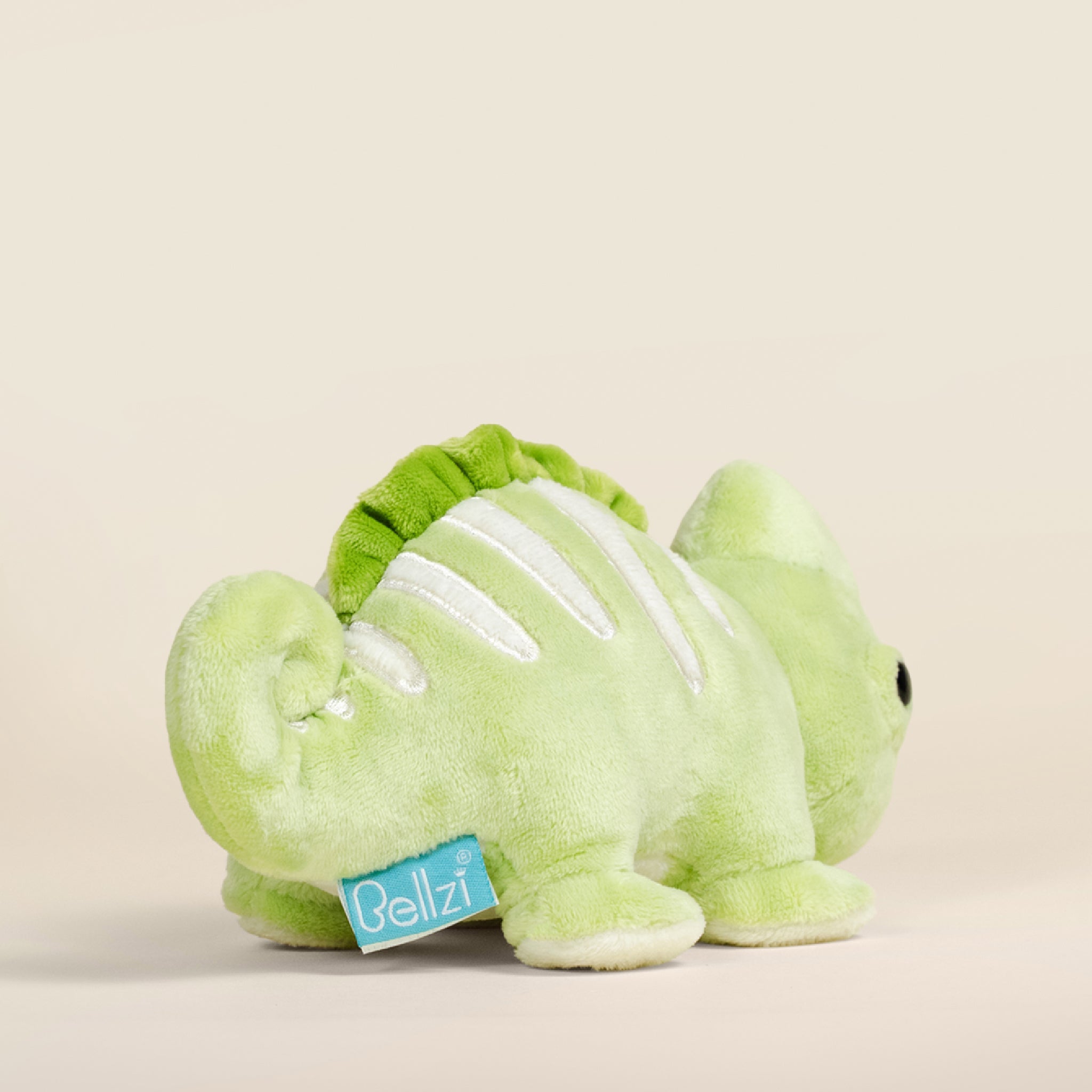 Mini Chamili the Chameleon