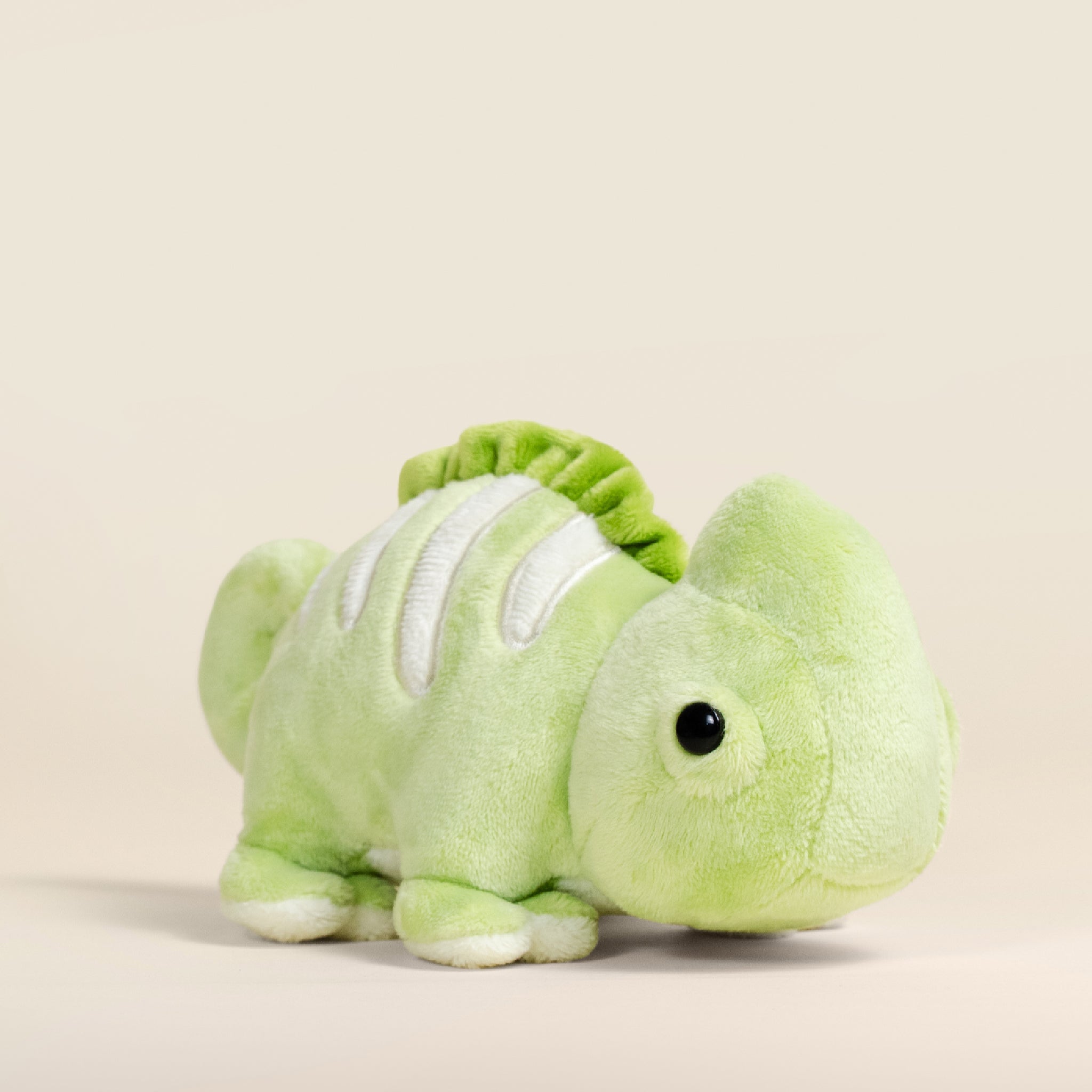 Mini Chamili the Chameleon