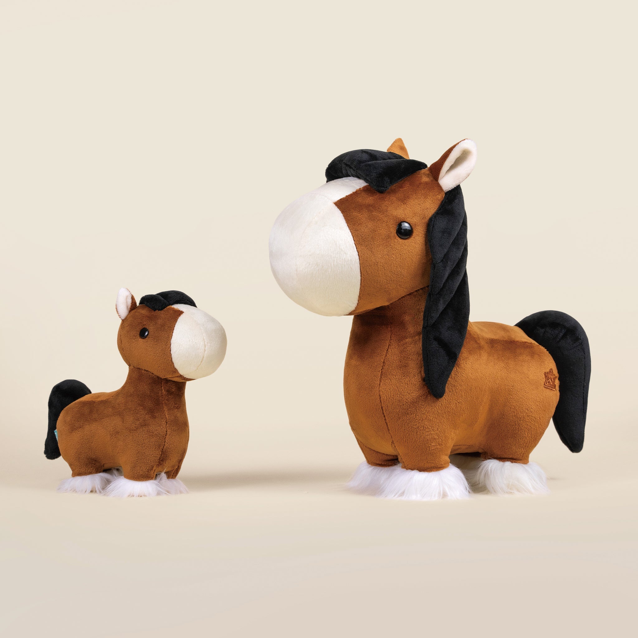 Mini Clydesdale the Horsi