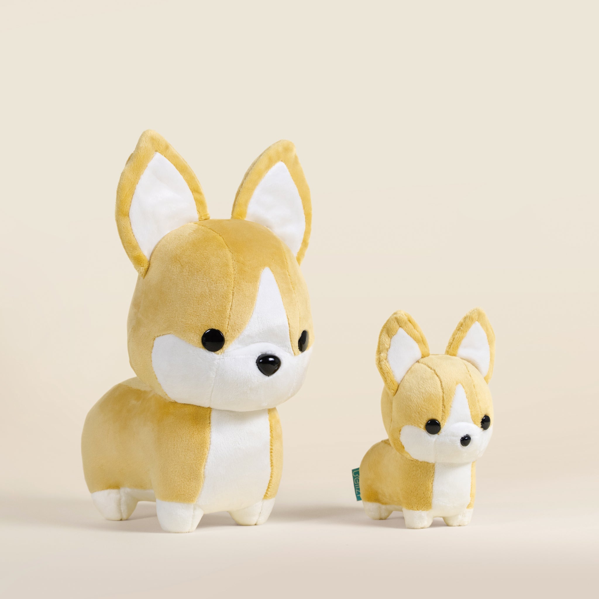 Corgi the Dog