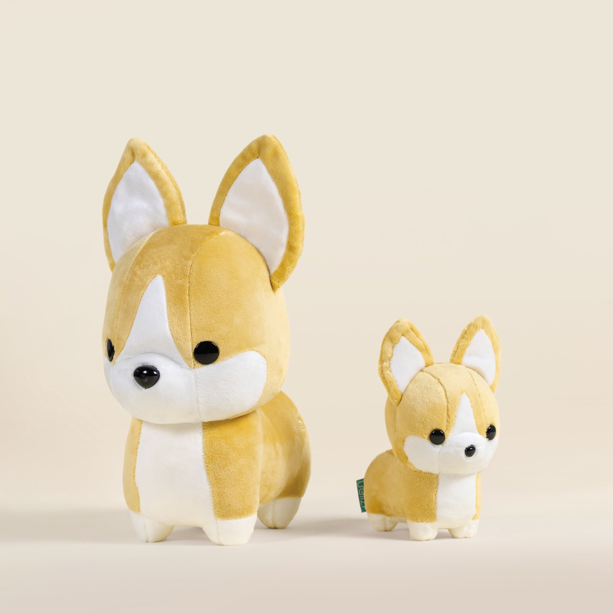 Corgi the Dog