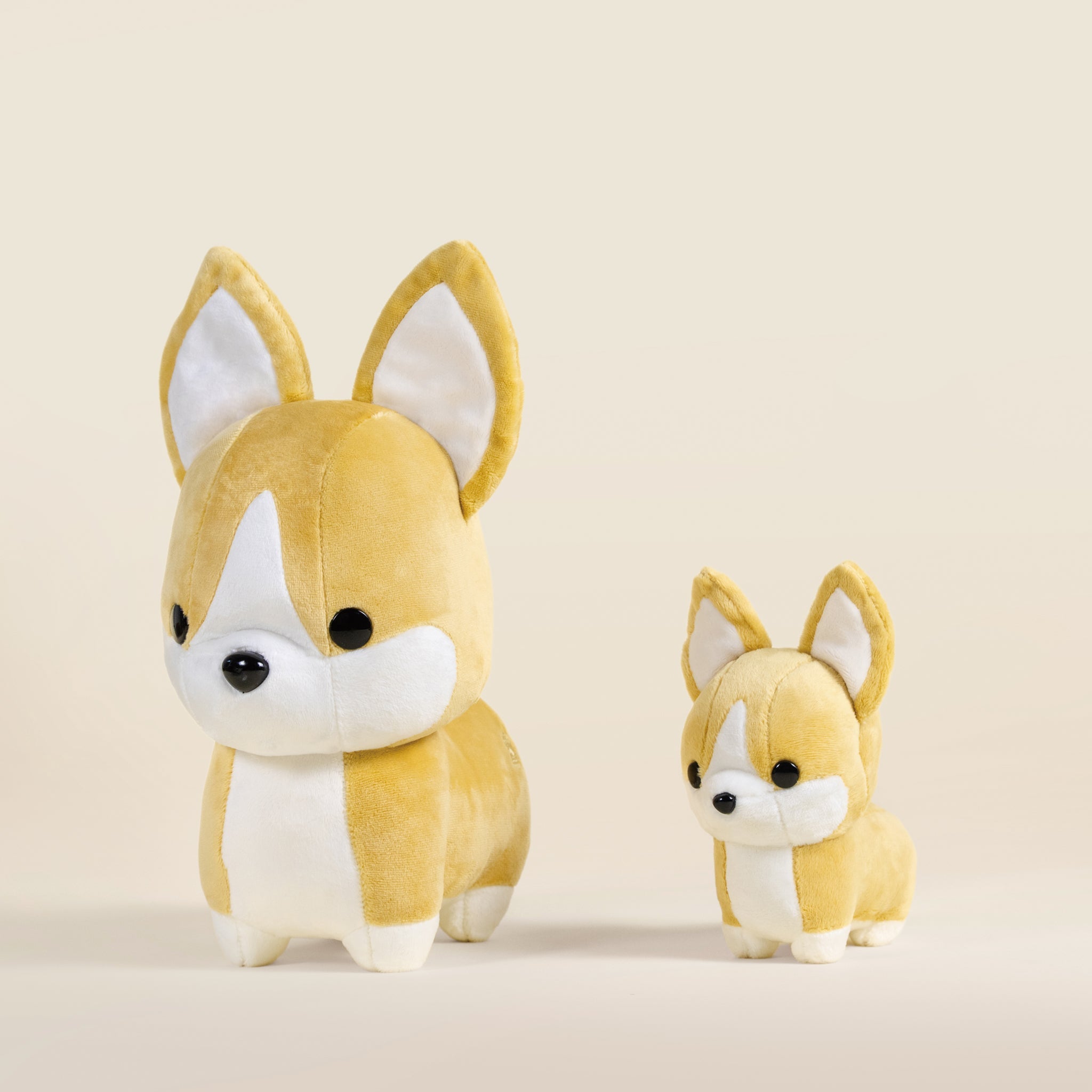 Corgi the Dog